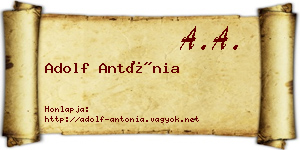 Adolf Antónia névjegykártya